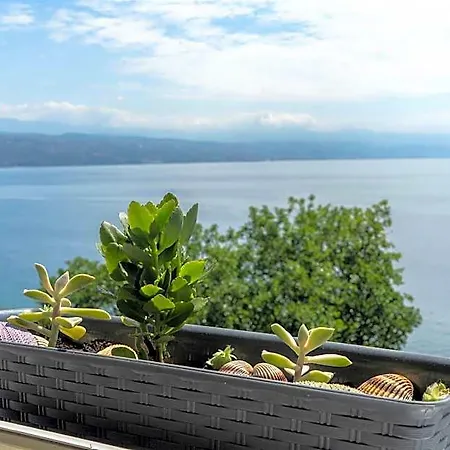 With Seaview 3*